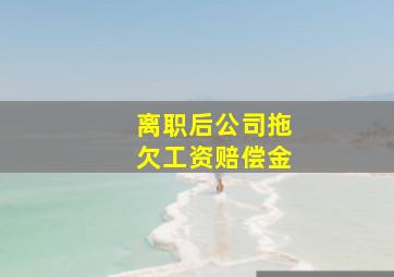 离职后公司拖欠工资赔偿金