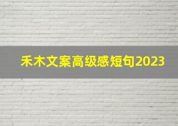 禾木文案高级感短句2023