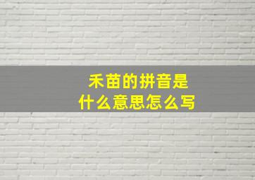 禾苗的拼音是什么意思怎么写