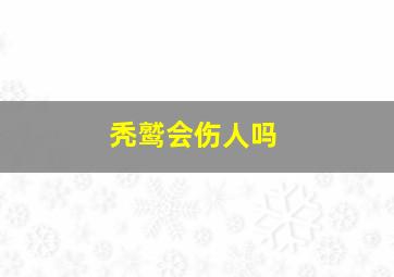 秃鹫会伤人吗