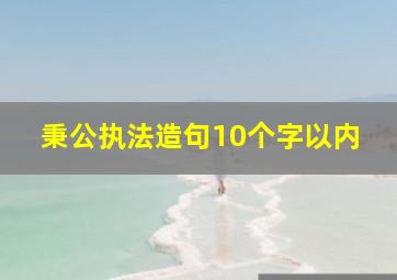 秉公执法造句10个字以内