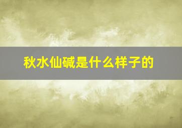 秋水仙碱是什么样子的