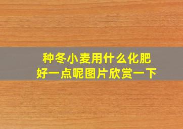 种冬小麦用什么化肥好一点呢图片欣赏一下