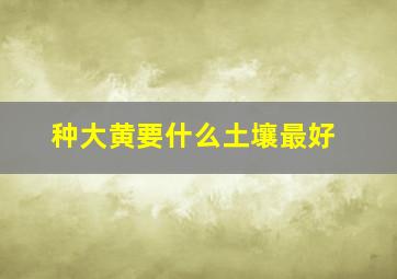 种大黄要什么土壤最好