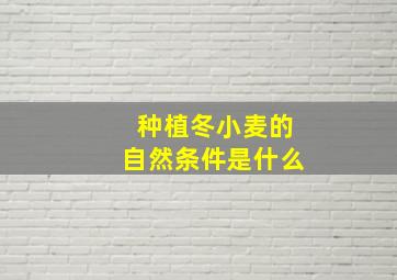 种植冬小麦的自然条件是什么