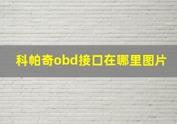 科帕奇obd接口在哪里图片