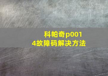 科帕奇p0014故障码解决方法