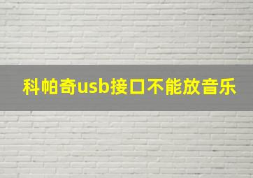 科帕奇usb接口不能放音乐