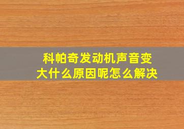 科帕奇发动机声音变大什么原因呢怎么解决