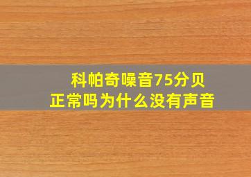 科帕奇噪音75分贝正常吗为什么没有声音