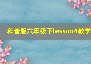 科普版六年级下lesson4教学