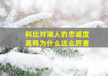 科比对湖人的忠诚度高吗为什么这么厉害