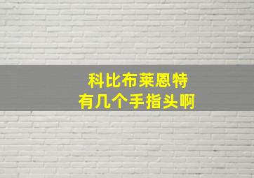 科比布莱恩特有几个手指头啊