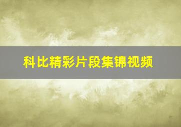 科比精彩片段集锦视频