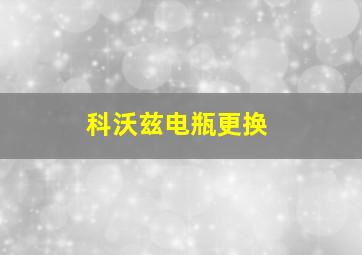 科沃兹电瓶更换