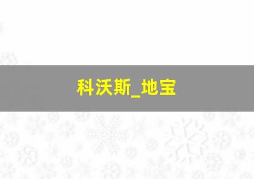 科沃斯_地宝