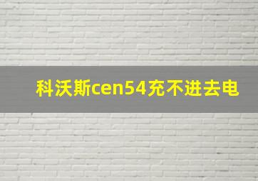 科沃斯cen54充不进去电