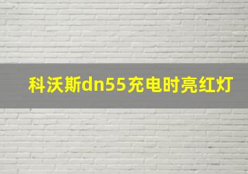 科沃斯dn55充电时亮红灯