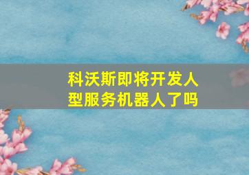 科沃斯即将开发人型服务机器人了吗