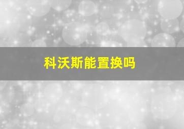 科沃斯能置换吗