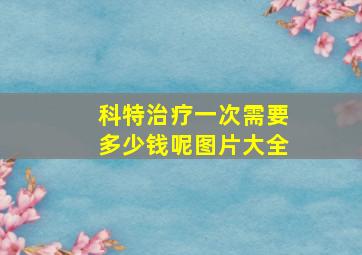 科特治疗一次需要多少钱呢图片大全