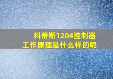 科蒂斯1204控制器工作原理是什么样的呢