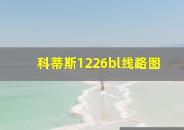 科蒂斯1226bl线路图