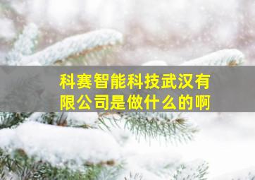 科赛智能科技武汉有限公司是做什么的啊