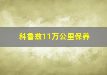 科鲁兹11万公里保养