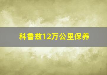 科鲁兹12万公里保养