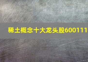 稀土概念十大龙头股600111