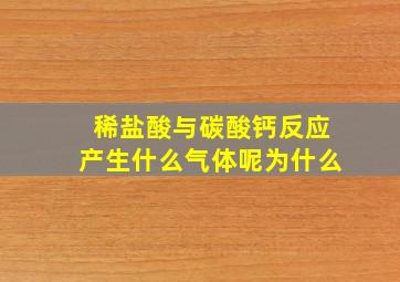 稀盐酸与碳酸钙反应产生什么气体呢为什么