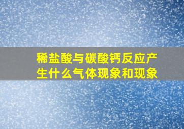 稀盐酸与碳酸钙反应产生什么气体现象和现象