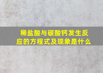 稀盐酸与碳酸钙发生反应的方程式及现象是什么