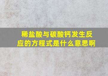 稀盐酸与碳酸钙发生反应的方程式是什么意思啊