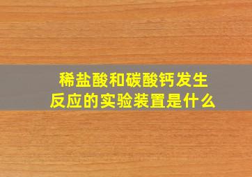 稀盐酸和碳酸钙发生反应的实验装置是什么