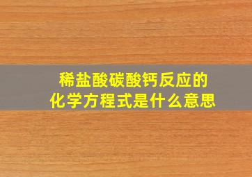 稀盐酸碳酸钙反应的化学方程式是什么意思