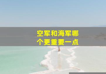 空军和海军哪个更重要一点