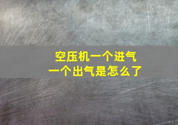 空压机一个进气一个出气是怎么了