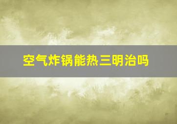 空气炸锅能热三明治吗