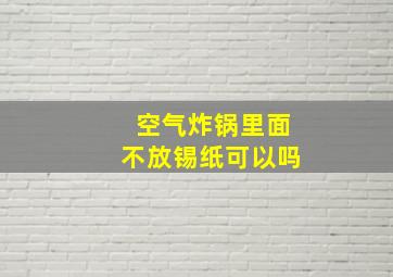 空气炸锅里面不放锡纸可以吗