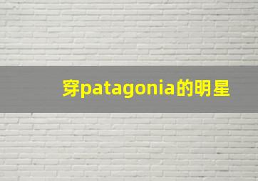 穿patagonia的明星