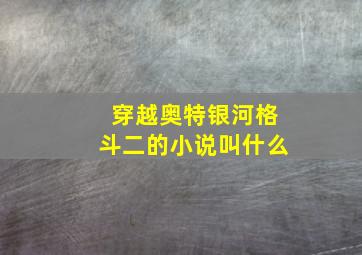 穿越奥特银河格斗二的小说叫什么