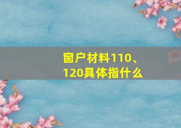 窗户材料110、120具体指什么