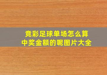 竞彩足球单场怎么算中奖金额的呢图片大全