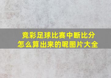 竞彩足球比赛中断比分怎么算出来的呢图片大全