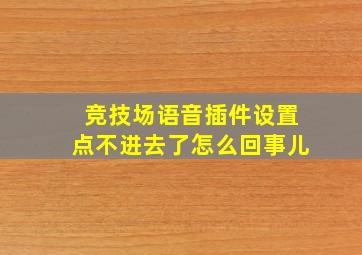 竞技场语音插件设置点不进去了怎么回事儿