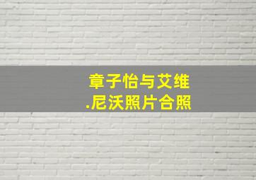 章子怡与艾维.尼沃照片合照