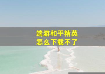 端游和平精英怎么下载不了