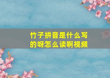 竹子拼音是什么写的呀怎么读啊视频